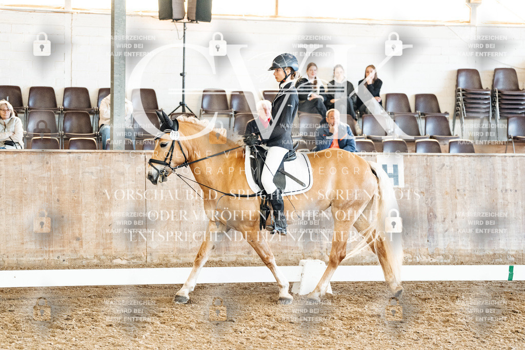 CK900274 | Turnierfotografie Pferdefotografie Trier Rheinland-Pfalz Pferdesport Reitsport Tierfotografie Sportfotografie Pferdevideo Pferdevideografie Equestrianvideography equestrianphotography  - Realized with Pictrs.com