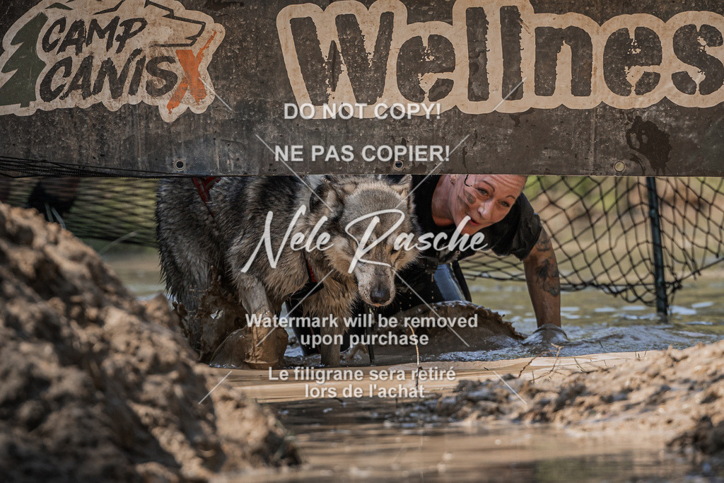 nelerasche_Hoope2026_Sa1500-1530_68 | nelerasche