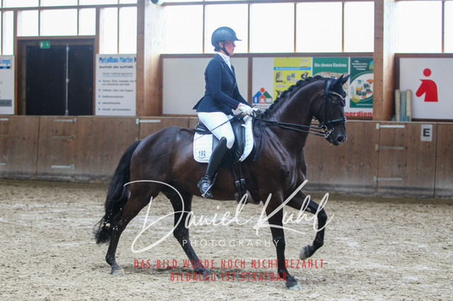 DKP44567 | Turniersportfotografie; Pferdefotografie; Dressurfotografie