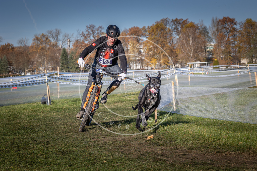 CaniXpix_0L8A5376 | Hundefotografie, Tierfotograf, Pfotenfotografie, Fotoshooting Hund, Hunde Portrait, Hundesport, Hundeportraits, Heideshooting, Hunde, Sportfotograf, Hundefotograf, Turnierhundsport, THS,  - Realisiert mit Pictrs.com