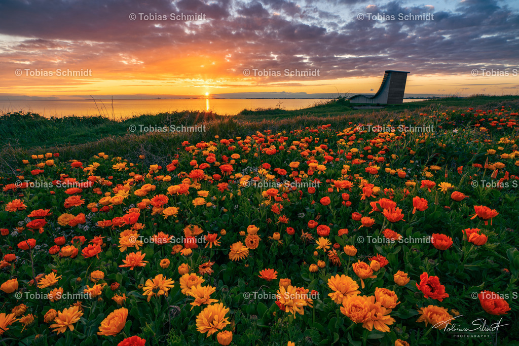 Fehmarn__DSC5915-HDR | Fotoprodukte, Kalender und Wanddeko direkt vom Fotografen auf Fehmarn. Ob Wandbild auf Alu-Dibond, hinter Acrylglas oder auf Leinwand – hier können Sie Ihr Lieblingsbild kaufen. - Realisiert mit Pictrs.com
