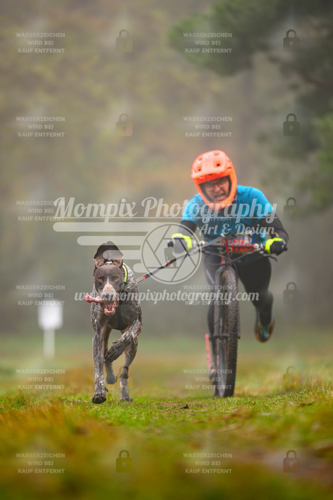 MompixPhotography_Bischwiller2025_Scooter-17 | mompixphotography