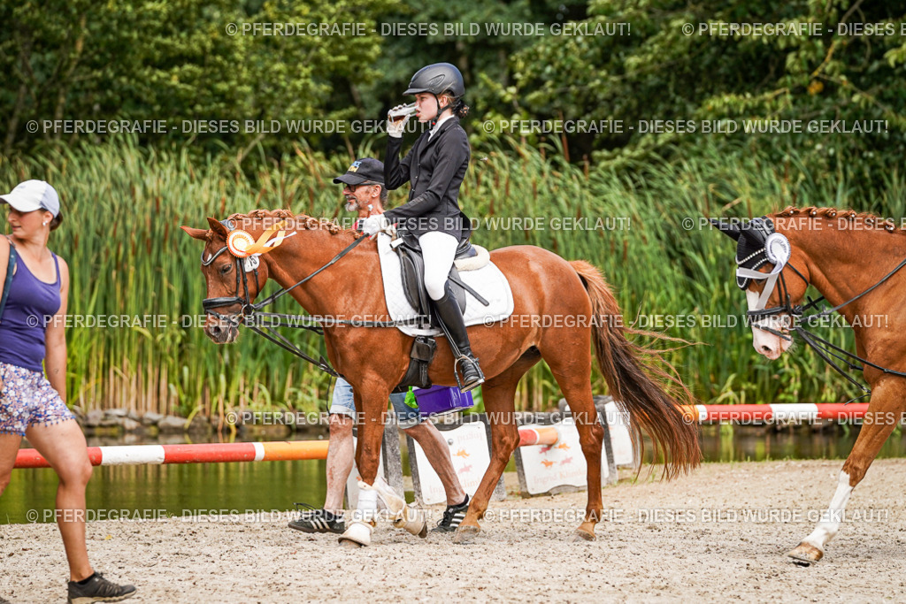 DSC02699 | Pferdegrafie