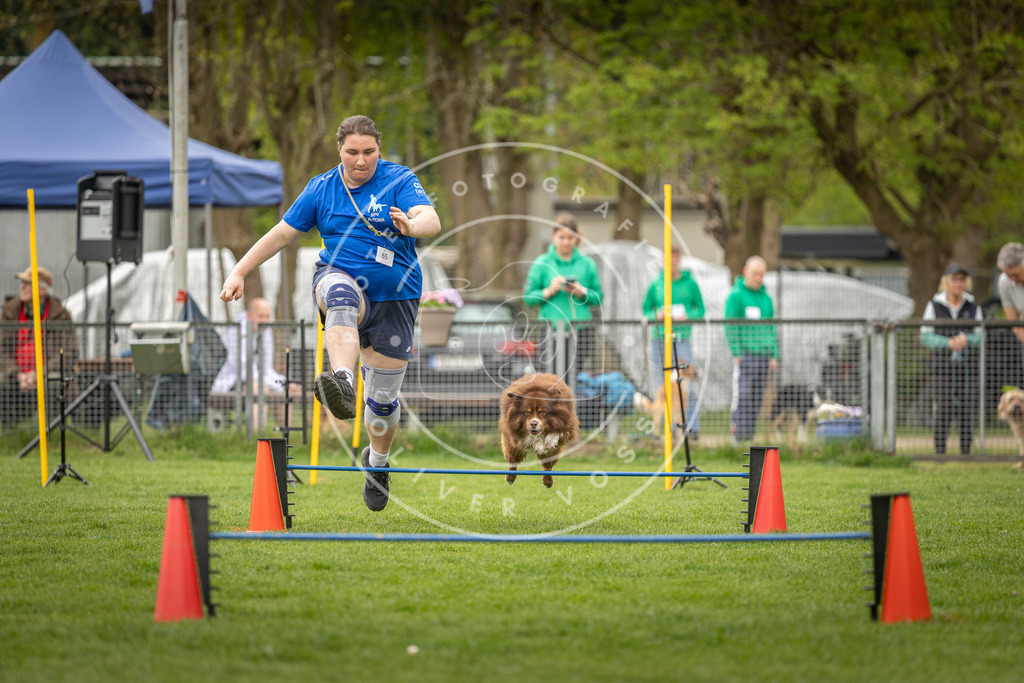 Pfotenfotografie_DV3A2595 | Hundefotografie, Tierfotograf, Pfotenfotografie, Fotoshooting Hund, Hunde Portrait, Hundesport, Hundeportraits, Heideshooting, Hunde, Sportfotograf, Hundefotograf, Turnierhundsport, THS,  - Realisiert mit Pictrs.com