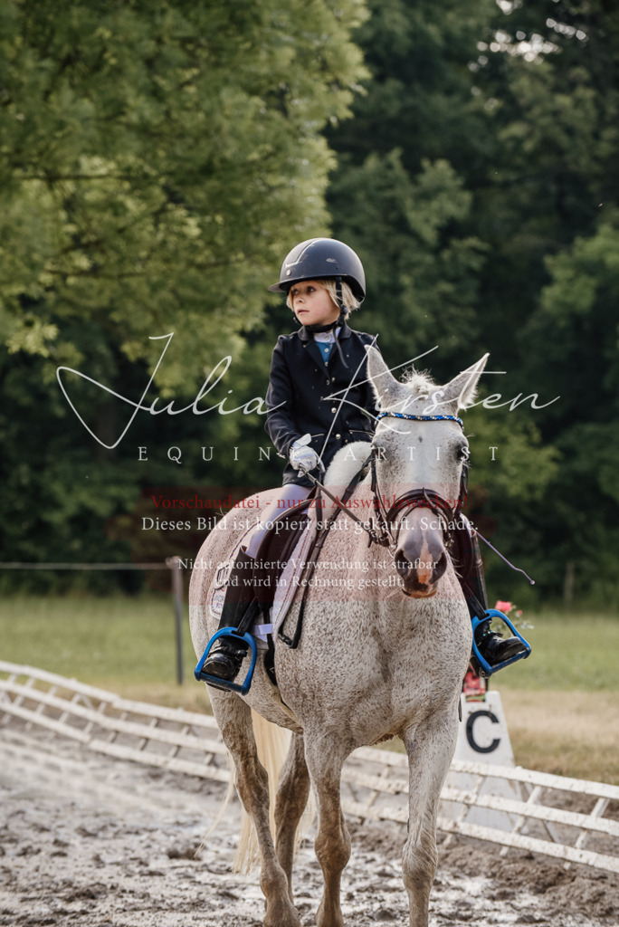 DSC_8408 | Pferde- und Turnierfotografie in Westsachsen. Pferdeportraits, Auftragszeichnungen und intuitive Kunst.