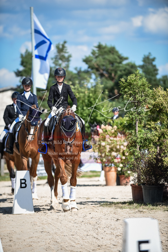 DSC_9710 | Pferde- und Turnierfotografie in Westsachsen. Pferdeportraits, Auftragszeichnungen und intuitive Kunst.