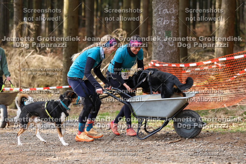 Dog Paparazzi - VCC26-636 | Dog Paparazzi Jeanette Grottendiek Fotografie & Videografie - Realisiert mit Pictrs.com