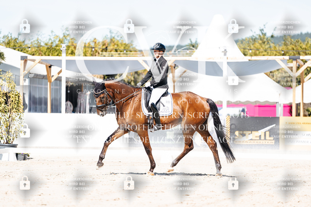 CK909172 | Turnierfotografie Pferdefotografie Trier Rheinland-Pfalz Pferdesport Reitsport Tierfotografie Sportfotografie Pferdevideo Pferdevideografie Equestrianvideography equestrianphotography  - Realisiert mit Pictrs.com