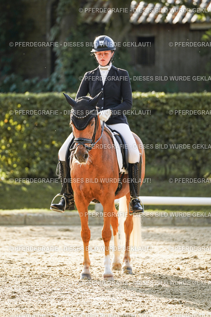 DSC05257 | Pferdegrafie