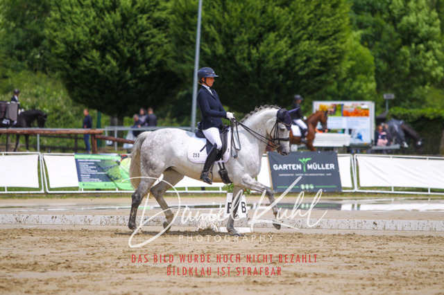 DKP40646 | Turniersportfotografie; Pferdefotografie; Dressurfotografie