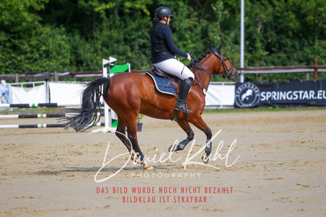 DKP41307 | Turniersportfotografie; Pferdefotografie; Dressurfotografie