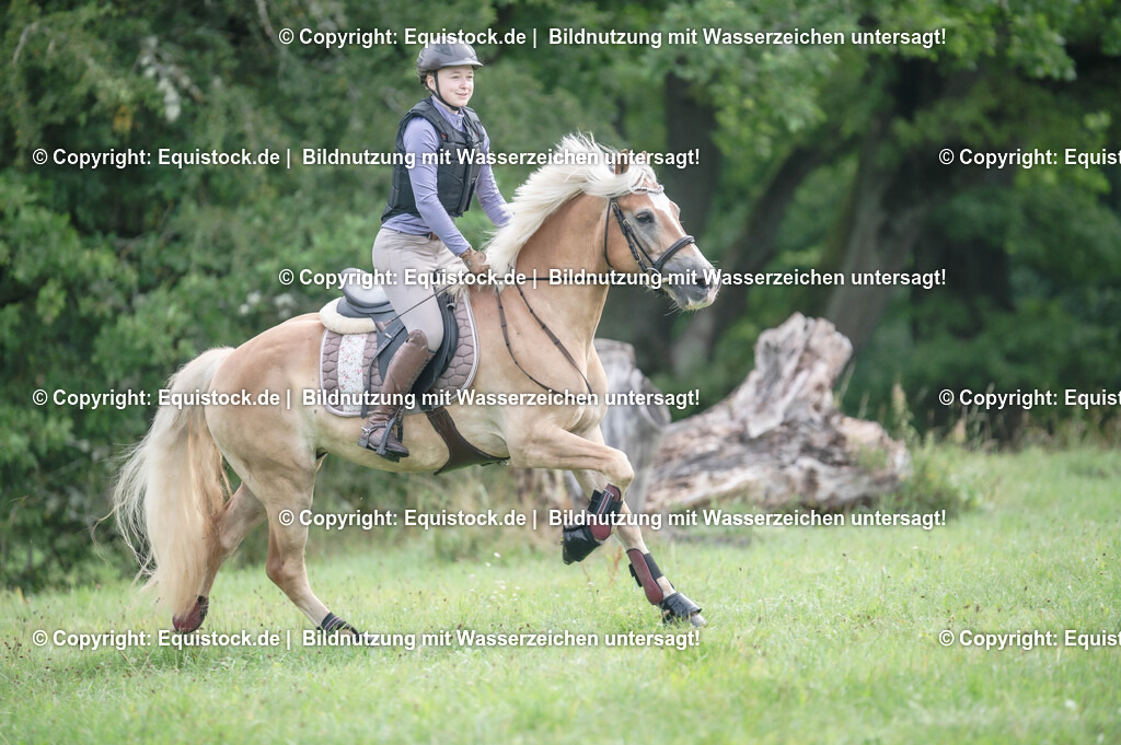 20250726_Vielseitigkeitslehrgang-Marbach_0130 | Foto: Thomas Hartig