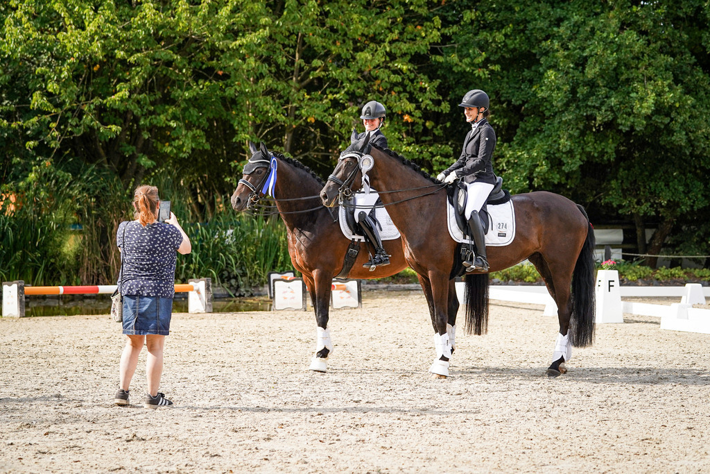 DSC07768 | Pferdegrafie