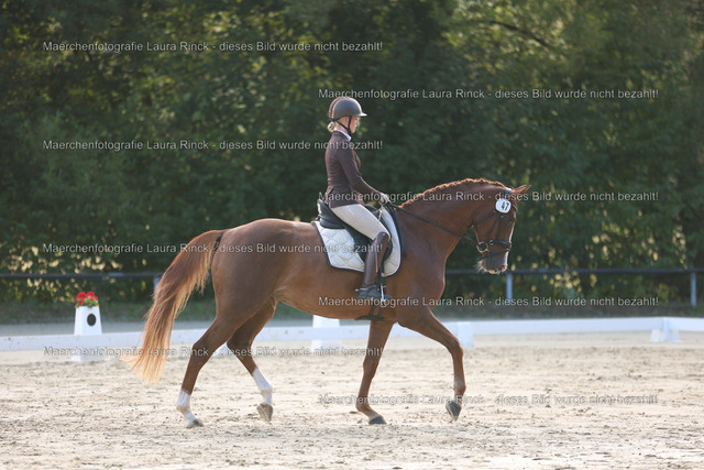 HG9A7692 | laurarinckfotografie - Realisiert mit Pictrs.com