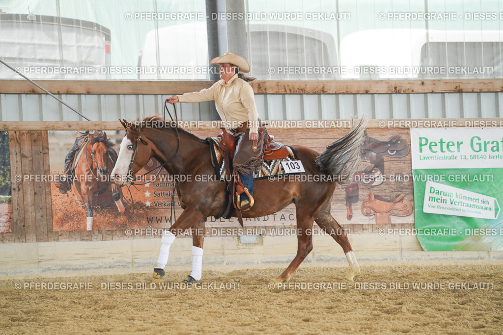 DSC06323 | Pferdegrafie