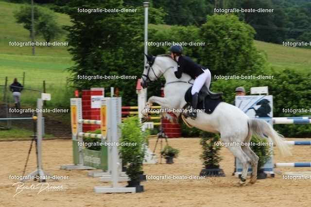 OHT0111 | Fotografie, Tiere, Hunde, Katzen, Pferde, Sportfotografie, Fotosession, Tierfotografie, Turnierfotografie, Fotografin, Fotograf - Realisiert mit Pictrs.com