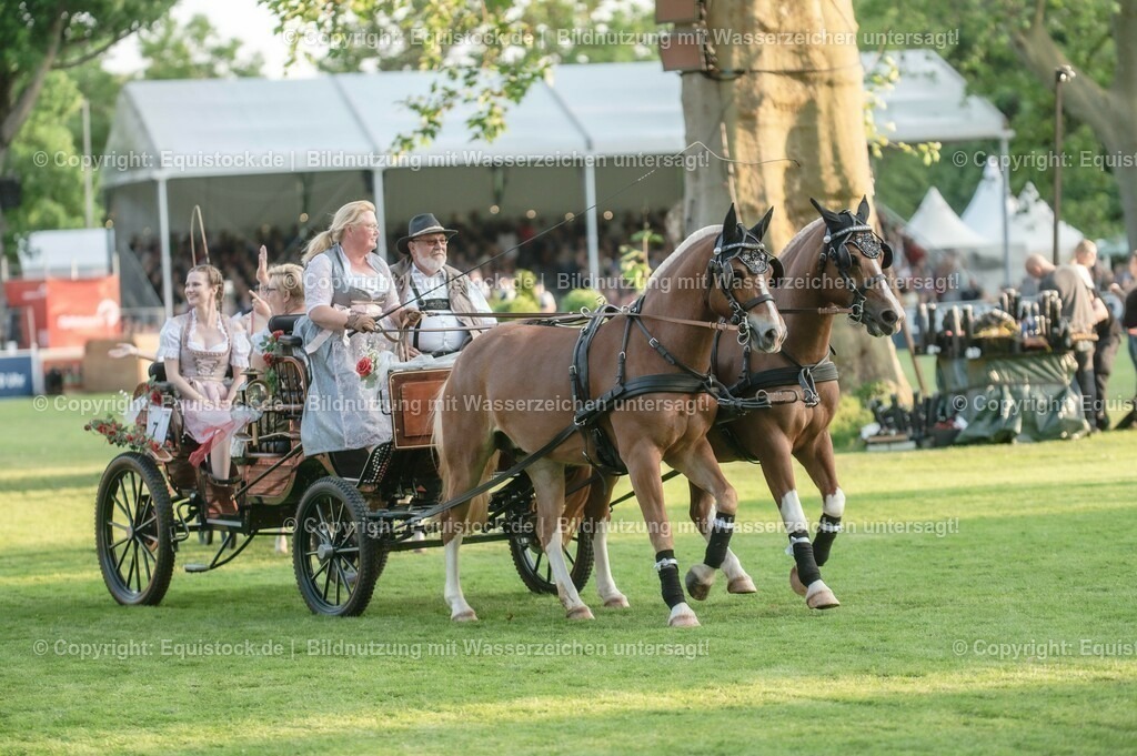 20230526_Pferdenacht_0138 | equistock