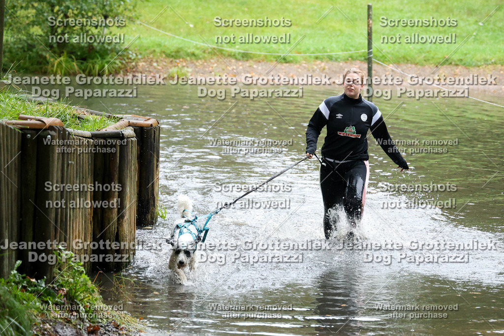 Dog Paparazzi -  SD1026-8334 | Dog Paparazzi Jeanette Grottendiek Fotografie & Videografie - Realisiert mit Pictrs.com