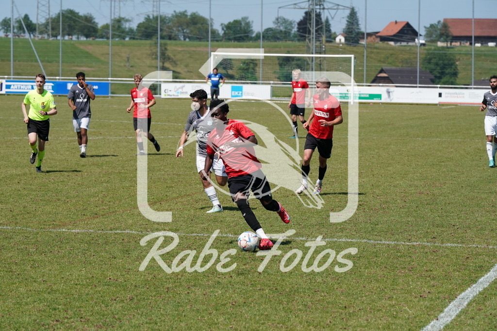 DSC00786 | rabefotos