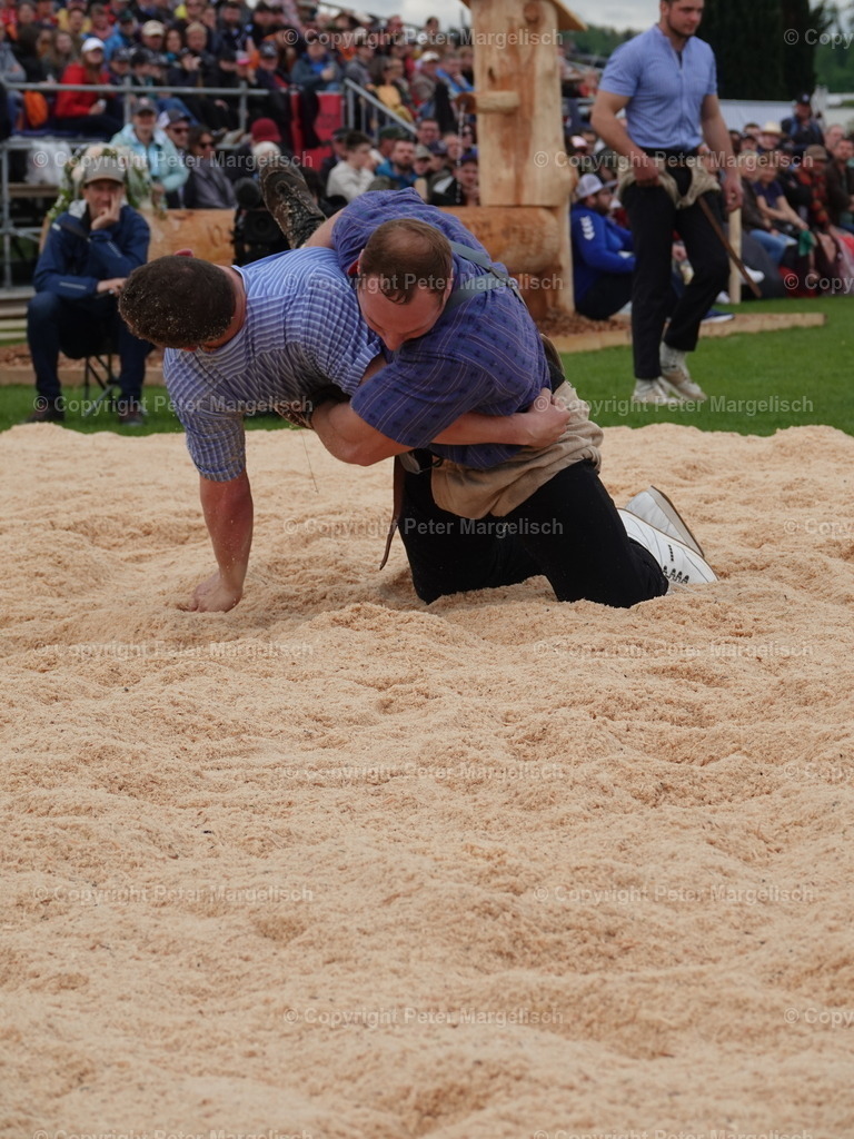 DSC06364 | Schwingen - Realisiert mit Pictrs.com