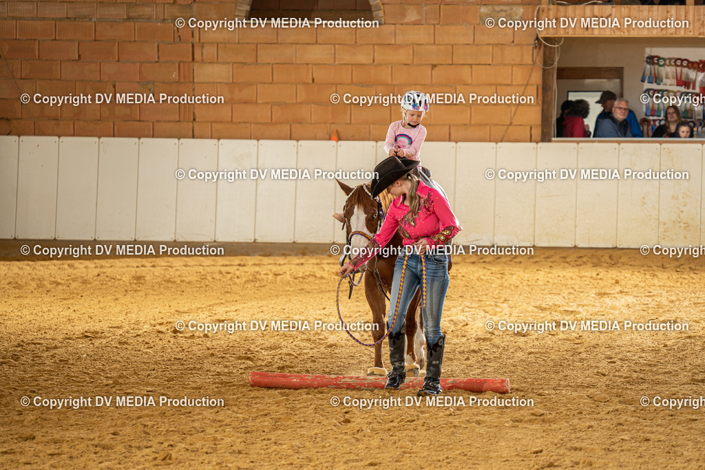 MIT01182 | dv-media-shop - Realisiert mit Pictrs.com