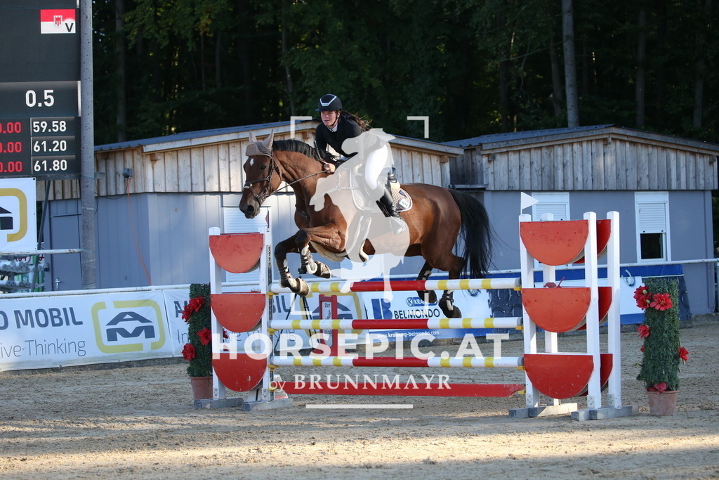 DL2Q4325 | Willkommen bei Brunnmayr - Design & Fotografie – Ihrem Spezialisten für Reitturniere und Pferdeveranstaltungen in Oberösterreich, Salzburg und Bayern! Seit über 17 Jahren sind wir leidenschaftlich dabei.