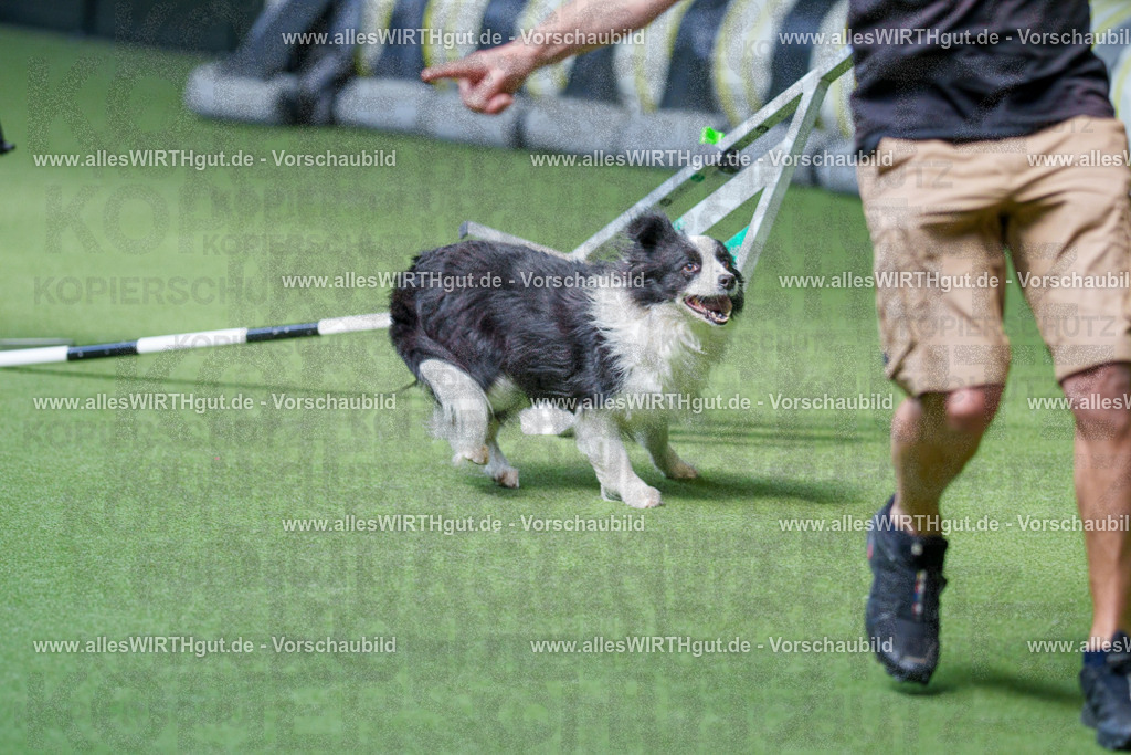 @allesWIRTHgut_Tierfotografie - www.allesWIRTHgut.de - 2604261347-7R502674 | Professionelle Tierfotografie in Mönchengladbach von Daniel Wirth (allesWIRTHgut). Liebevolle & natürliche Bilder von Hunden & Katzen für unvergessliche Erinnerungen.