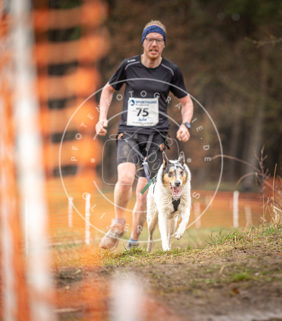 DV3A0258 | Hundefotografie, Tierfotograf, Pfotenfotografie, Fotoshooting Hund, Hunde Portrait, Hundesport, Hundeportraits, Heideshooting, Hunde, Sportfotograf, Hundefotograf, Turnierhundsport, THS,  - Realisiert mit Pictrs.com
