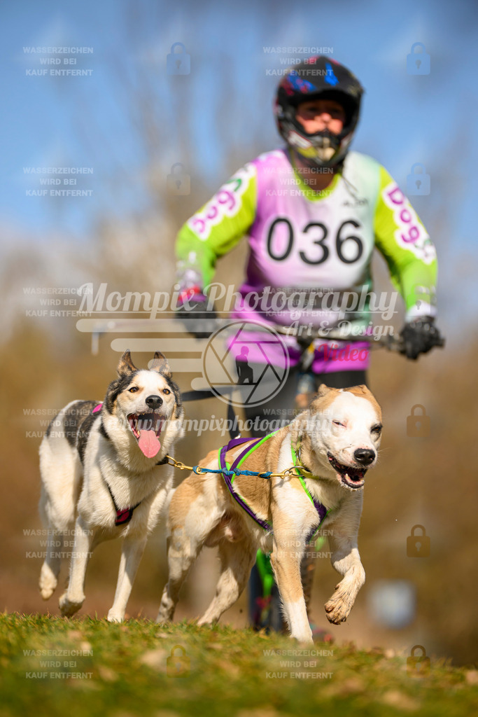 MompixPhotography_10Schwabentrail2026_SO_Scooter-74 | PayLife