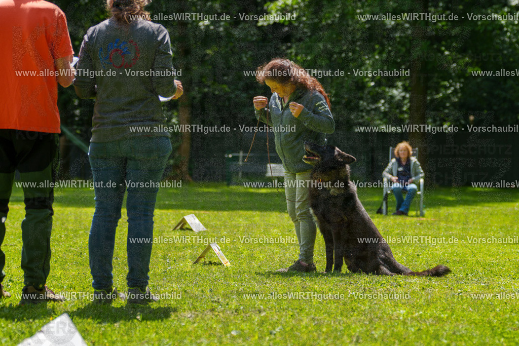 @allesWIRTHgut_Tierfotografie - www.allesWIRTHgut.de - 7R504658 | Professionelle Tierfotografie in Mönchengladbach von Daniel Wirth (allesWIRTHgut). Liebevolle & natürliche Bilder von Hunden & Katzen für unvergessliche Erinnerungen.