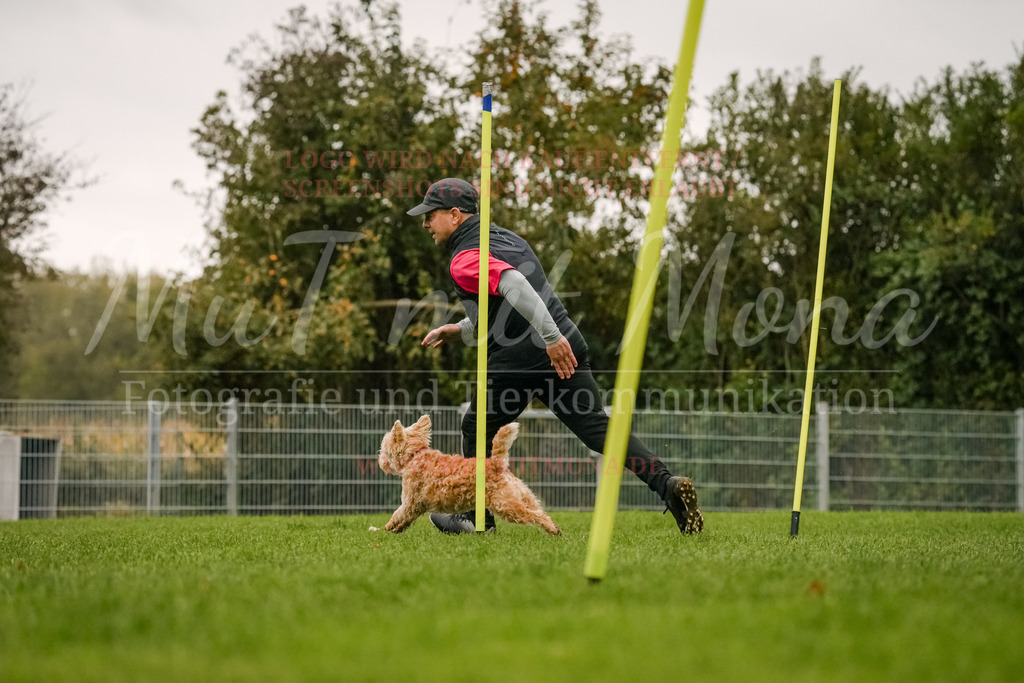 20251005_THS_Turnier-528 | MuT (Mensch und Tier) mit Mona - Fotografie und Tierkommunikation - Realisiert mit Pictrs.com