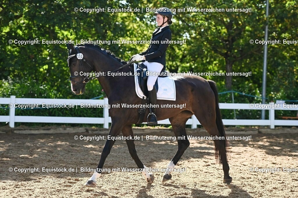 20230715_06_Dressurpferdeprfg. Kl.A_0359 | equistock
