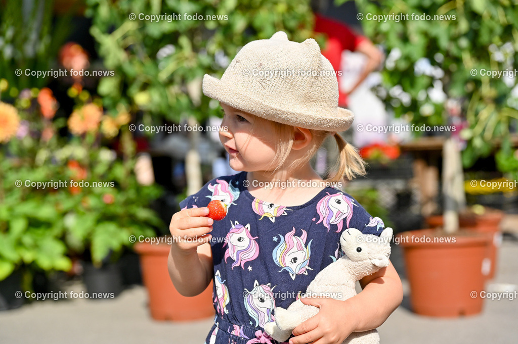 Markt Suedbahnhofmarkt_ 08.07.2023-14 | 08.07.2023, Linz, AUT, Linzer Genussmaerkte, im Bild Markt Suedbahnhofmarkt

Mathilda (2, Linz) beim Erdbeeren essen am Markt