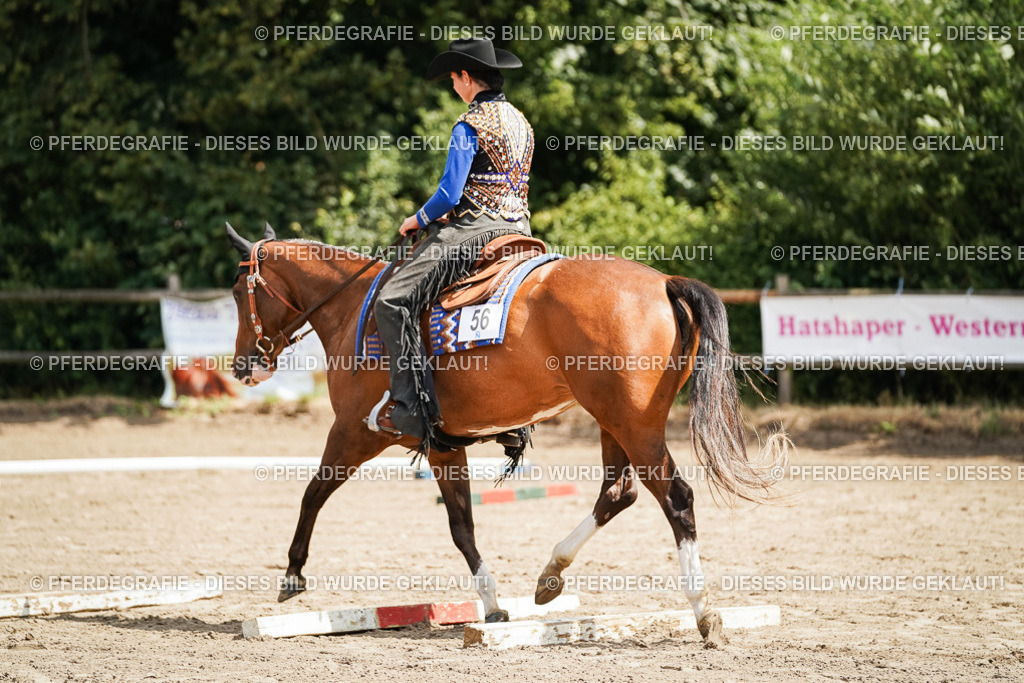 DSC06148 | Pferdegrafie