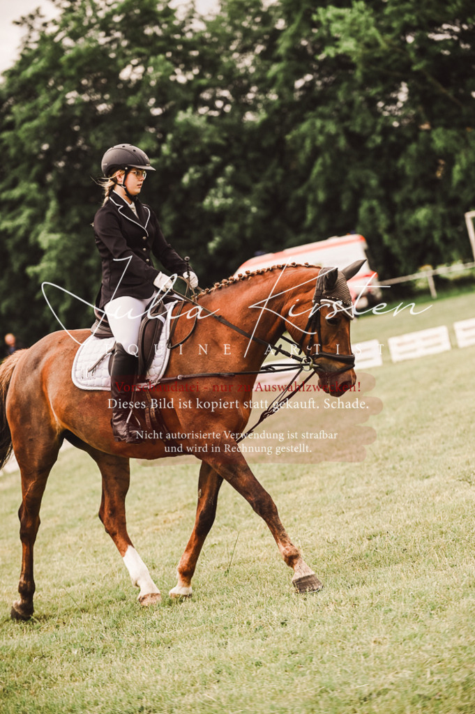 DSC_4822 | Pferde- und Turnierfotografie in Westsachsen. Pferdeportraits, Auftragszeichnungen und intuitive Kunst.