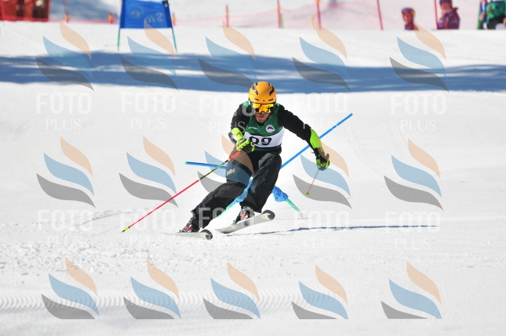 C3342 | holidayphoto