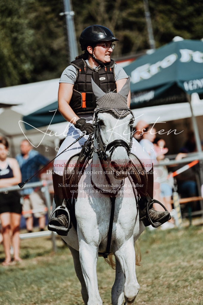 DSC_9348 | Pferde- und Turnierfotografie in Westsachsen. Pferdeportraits, Auftragszeichnungen und intuitive Kunst.
