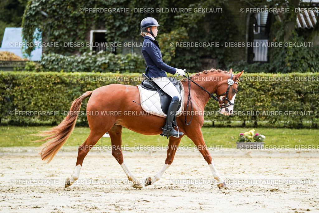 DSC07481 | Pferdegrafie