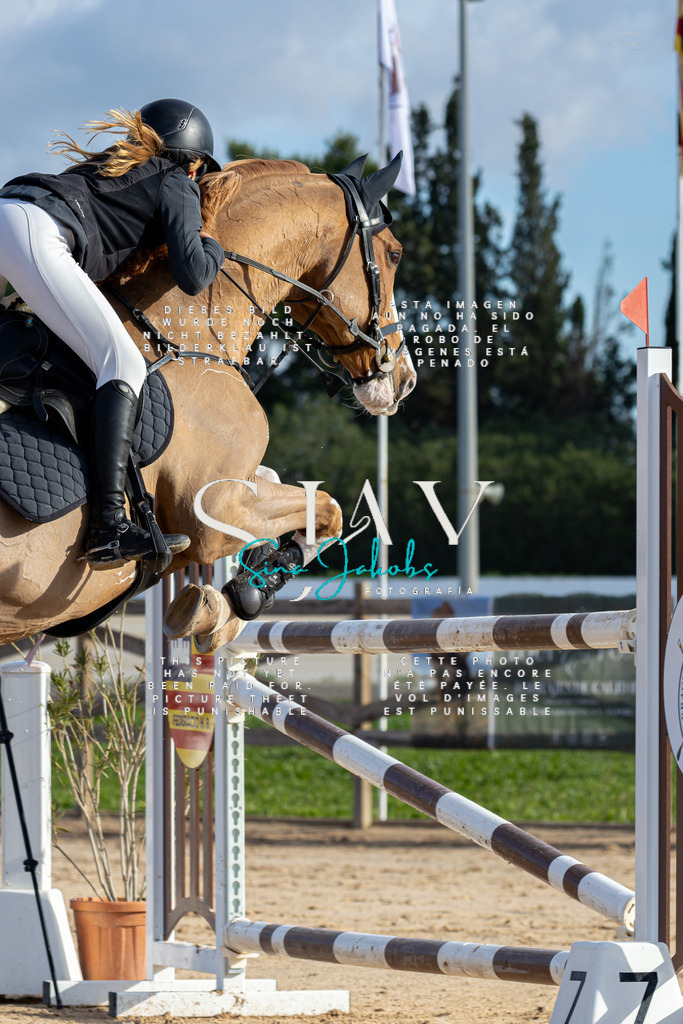 IMG_1720 | s-jay-photography - Realisiert mit Pictrs.com