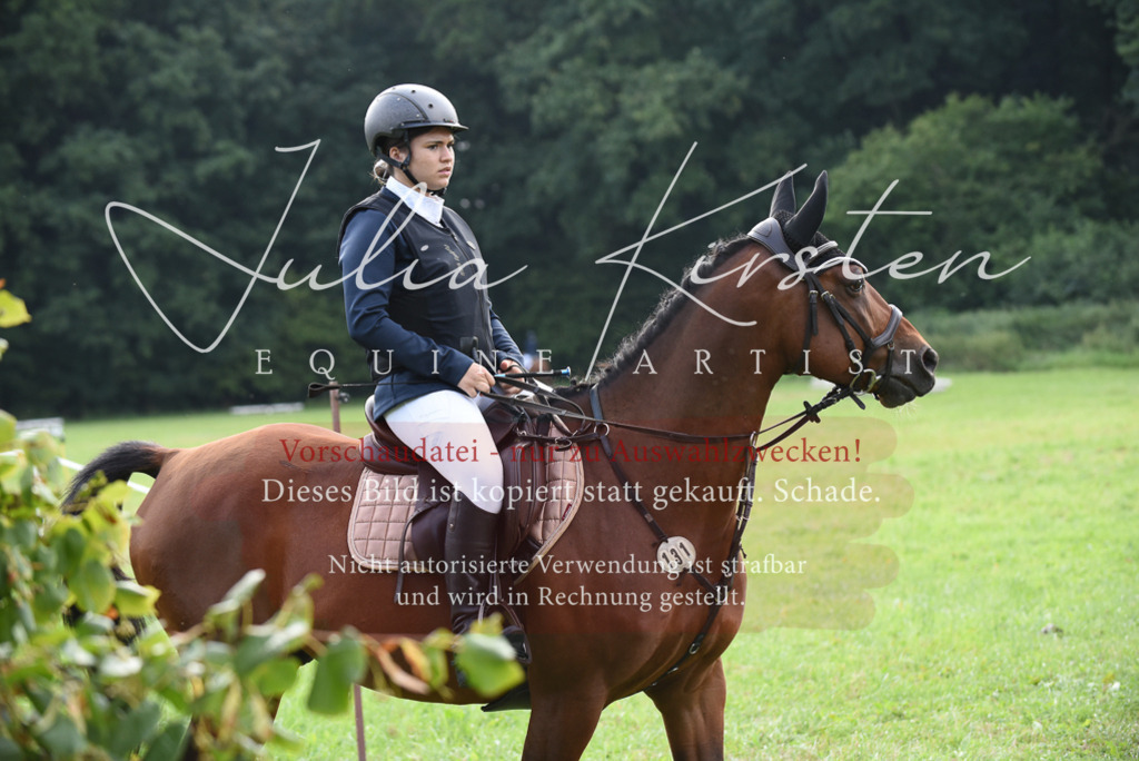 DSC_8606 | Pferde- und Turnierfotografie in Westsachsen. Pferdeportraits, Auftragszeichnungen und intuitive Kunst.