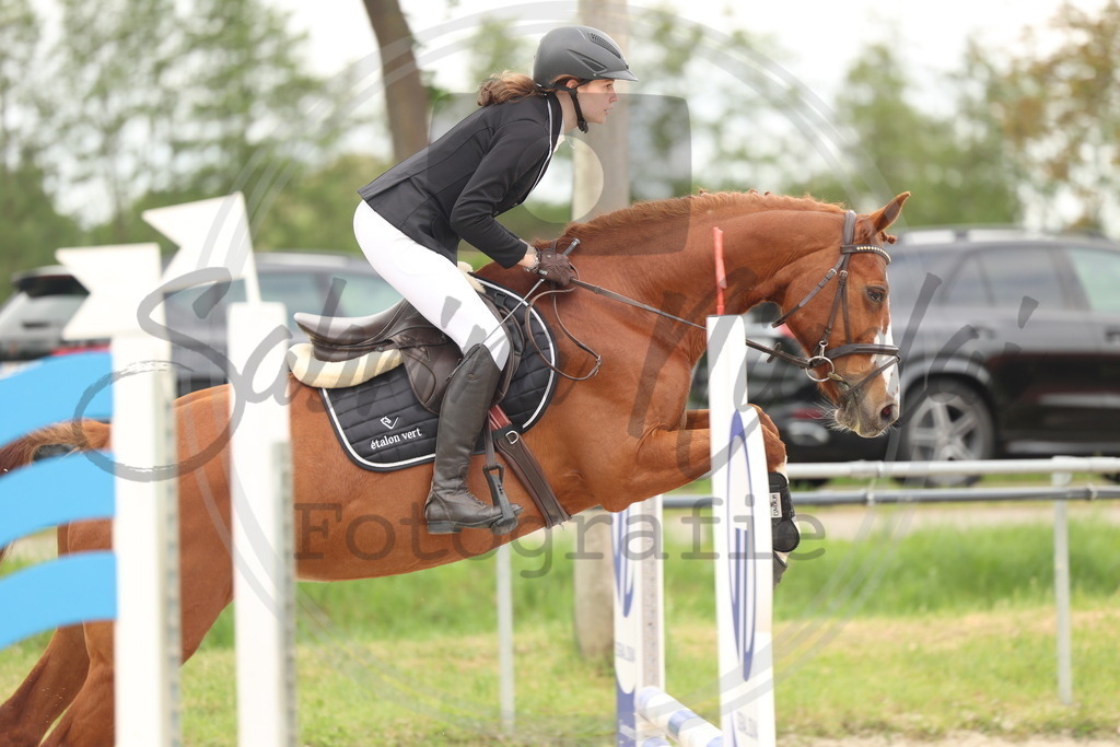 994A8868 | sabrinanicolaifotografie - Realisiert mit Pictrs.com