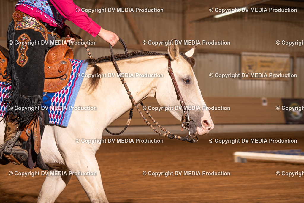 NID01223 | dv-media-shop - Realisiert mit Pictrs.com