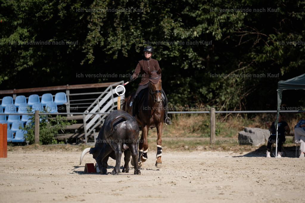 WM_ST_5_stoibphotography_SO12096 | working equitationturnier fotograf videograf stoibphotography marixx film working equitation deutschland reitsport turnierfotografie eventfotografie equestrian events