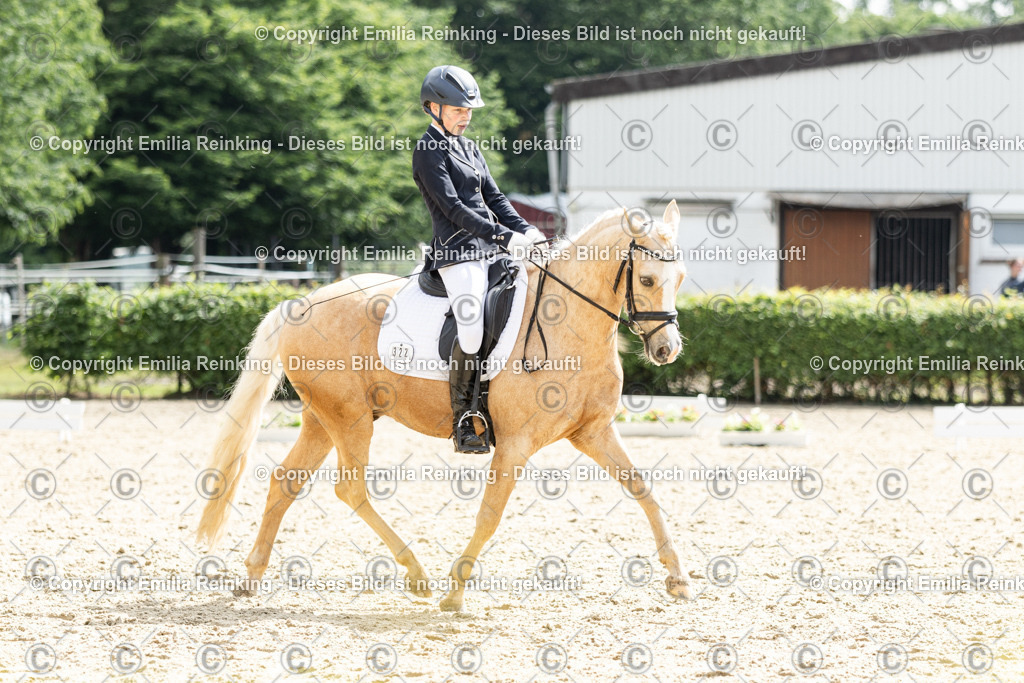 CL5A6501 | Emilia Reinking Fotografie - Realisiert mit Pictrs.com