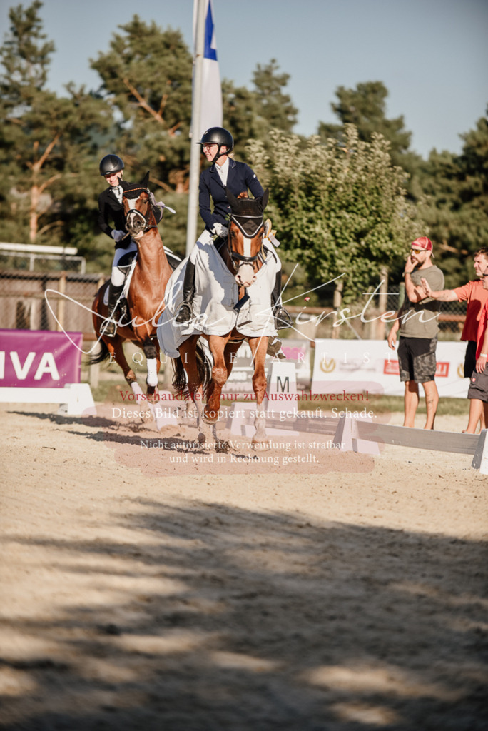 DSC_0753 | Pferde- und Turnierfotografie in Westsachsen. Pferdeportraits, Auftragszeichnungen und intuitive Kunst.