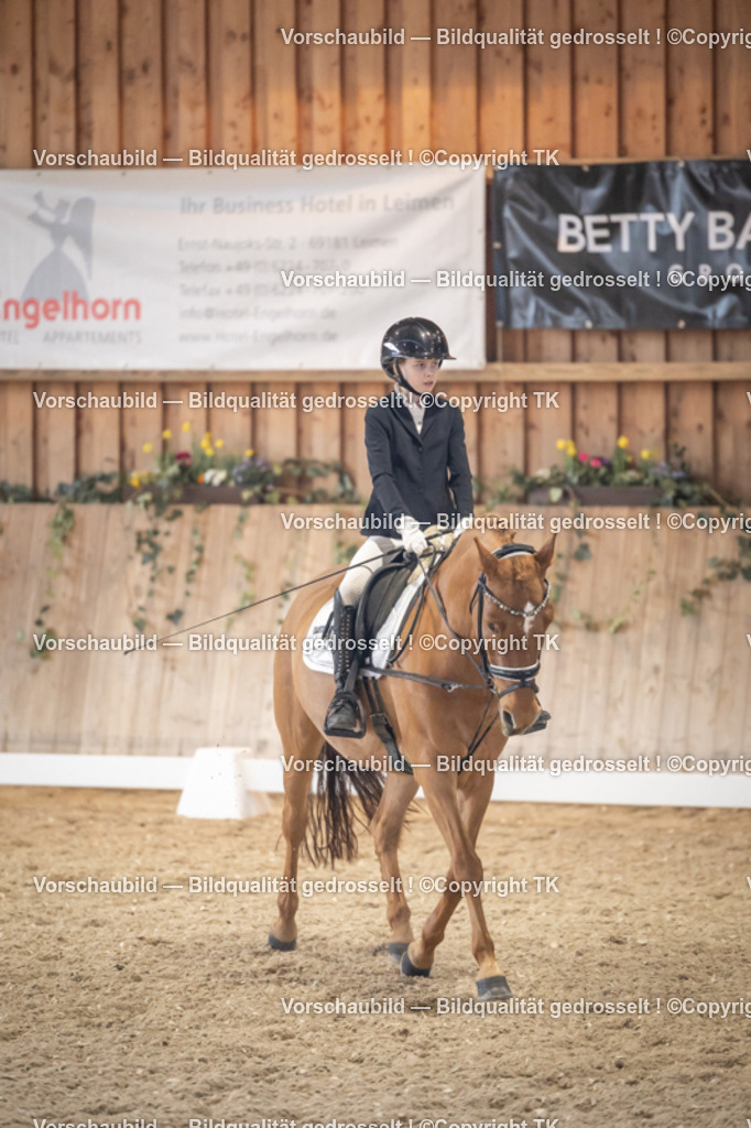 _D5A2221 | Emotionale Pferde- & People-Fotografie rund um Heidelberg, Leimen & Umgebung. Natürliche Fotos von Pferd, Mensch & Familie. Jetzt Termin sichern!