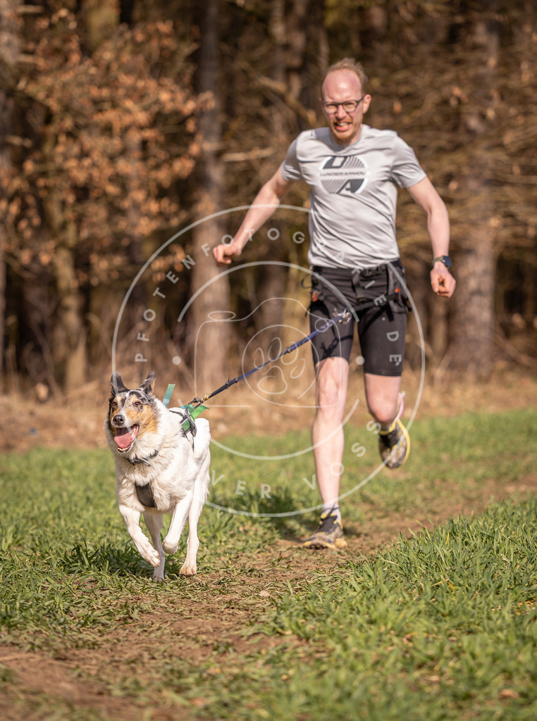 DV3A6223 | Hundefotografie, Tierfotograf, Pfotenfotografie, Fotoshooting Hund, Hunde Portrait, Hundesport, Hundeportraits, Heideshooting, Hunde, Sportfotograf, Hundefotograf, Turnierhundsport, THS,  - Realisiert mit Pictrs.com