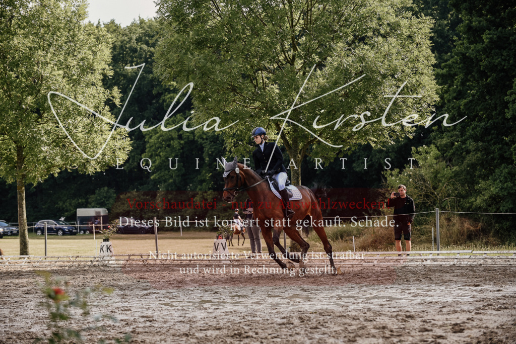 DSC_9041 | Pferde- und Turnierfotografie in Westsachsen. Pferdeportraits, Auftragszeichnungen und intuitive Kunst.