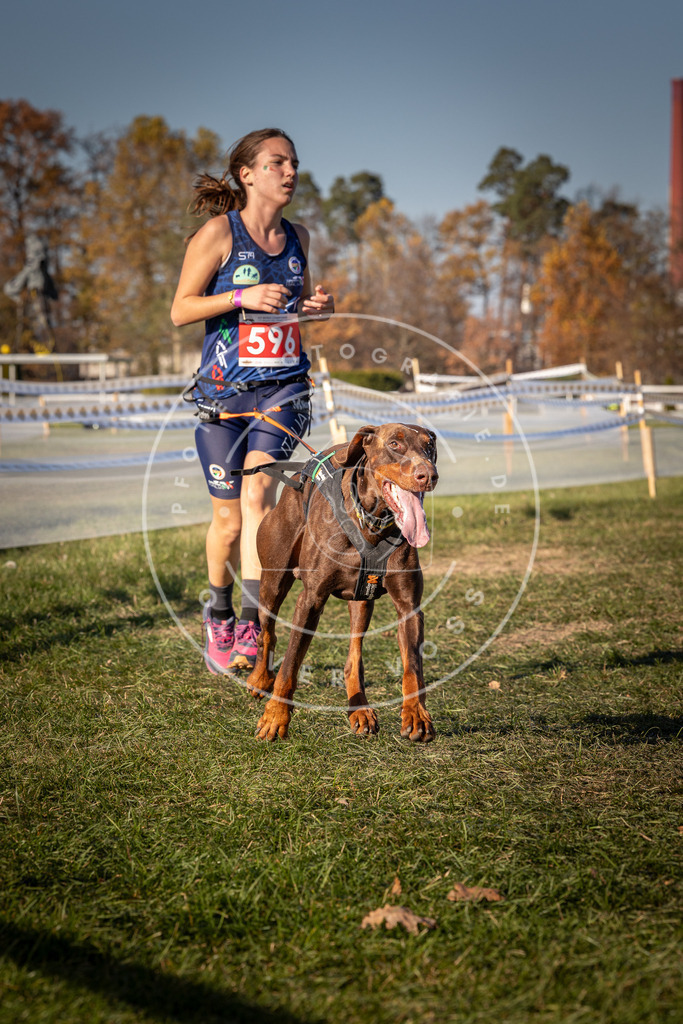 CaniXpix_0L8A8489 | Hundefotografie, Tierfotograf, Pfotenfotografie, Fotoshooting Hund, Hunde Portrait, Hundesport, Hundeportraits, Heideshooting, Hunde, Sportfotograf, Hundefotograf, Turnierhundsport, THS,  - Realisiert mit Pictrs.com