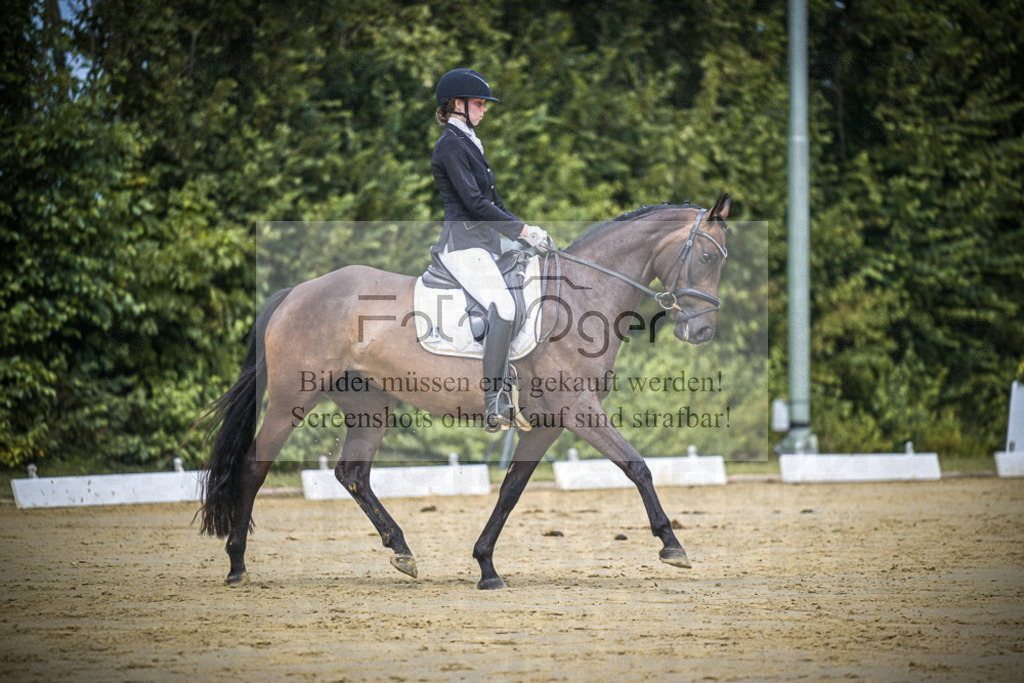 DOS_2077 | Entdecke hochwertige Reitturnierfotos von Foto Oger. Professionell, emotional und authentisch – jetzt Lieblingsmomente im Shop bestellen.Deutschlandweite Turnierfotografie. - Realisiert mit Pictrs.com